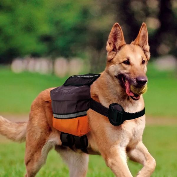Сумка -жилет скаут для собак для походів Ferplast Dog Scout 85726099 фото