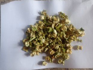 Кабачки сушеные кубик 1 кг 1884770650 фото