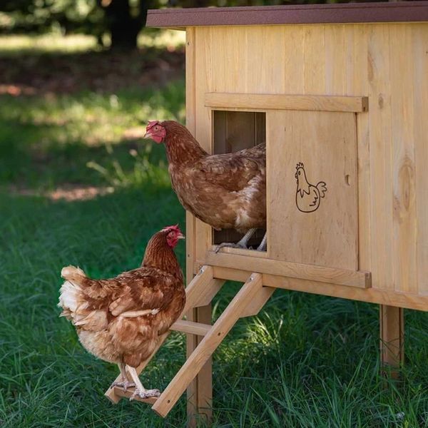 Курник Дерев'яний будиночок для курей 6 курей HEN HOUSE 30 162 x 100 x h 110 cm 57096000 фото