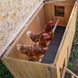 Курник Дерев'яний будиночок для курей 6 курей HEN HOUSE 30 162 x 100 x h 110 cm 57096000 фото 8