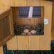 Курник Дерев'яний будиночок для курей 6 курей HEN HOUSE 30 162 x 100 x h 110 cm 57096000 фото 3