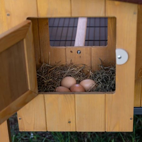Курник Дерев'яний будиночок для курей 4 курей HEN HOUSE 10 124 x 98 x h 110 cm 57094500 фото