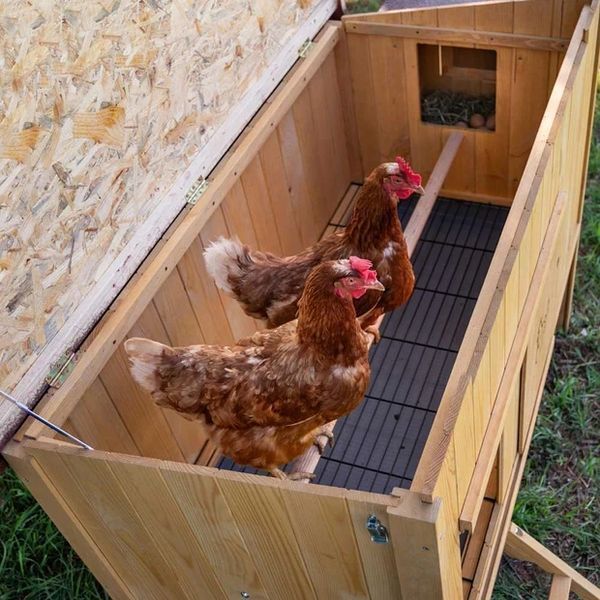 Курник Дерев'яний будиночок для курей 4 курей HEN HOUSE 10 124 x 98 x h 110 cm 57094500 фото