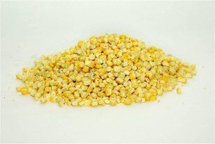 Кукурудза сублімована 1 кг от 10 кг 608396555 фото