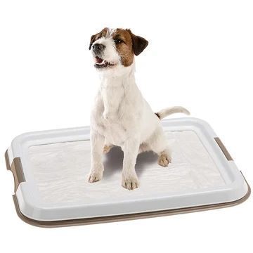 Лоток для гігієнічних пелюшок HYGIENIC PAD TRAY 49 x 36 x h 3 cm для пелюшок 60*60 та 60*40 85346311 фото