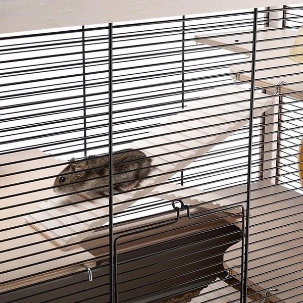 Деревянная клетка для хомяков и мышей HAMSTERVILLE 60 x 34 x 49 cm 57026517 фото
