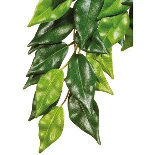 Рослина Exo Terra Ficus для тераріума середня 40 см PT3040 фото