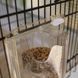Клетка для канареек попугаев и маленьких экзотических птиц Ferplast CANTO 52501217 фото 10